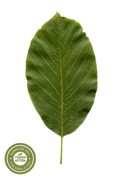 Yörem Afyon Meşhur Tokat Yeni Mahsul Dalında Kurutulmuş Ceviz Yaprağı Juglans Regia 30gr.