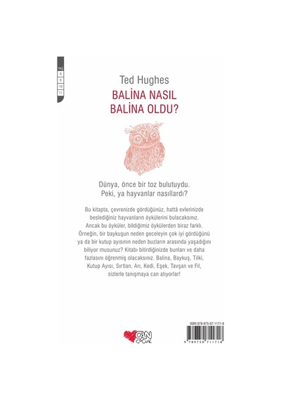 Balina Nasıl Balina Oldu? (551518742)
