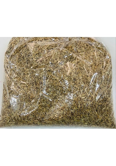 Firba İtalyan Çimi, Süt Otu, RyeGRass, Rey GRass, Obelix 1 KG