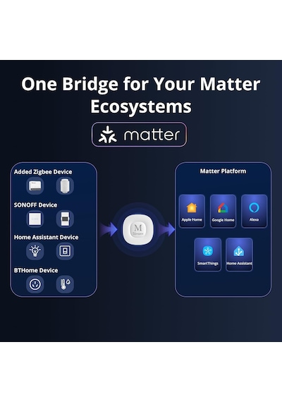 Zigbee Bridge Max Matter Destekli Bridge-m Genel