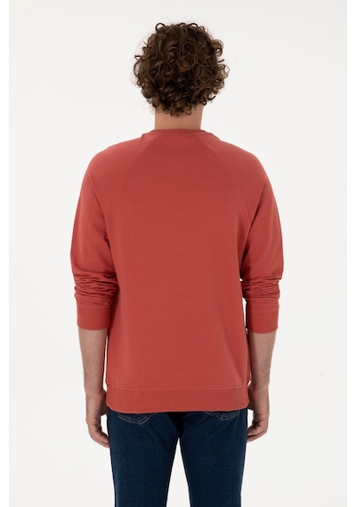 U.S. Polo Assn. Erkek Regular Fit Bisiklet Yaka Gül Kurusu İnce Basic Sweatshirt 50313752-VR026