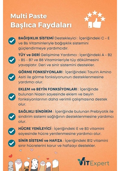Multi Paste Tüm Kediler Için Multi Vitamin Bağışıklık Ve Tüy Sağlığı Tamamlayıcı Malt Macun 100 Gr