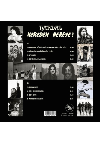 Hardal - Nereden Nereye Renkli Plak