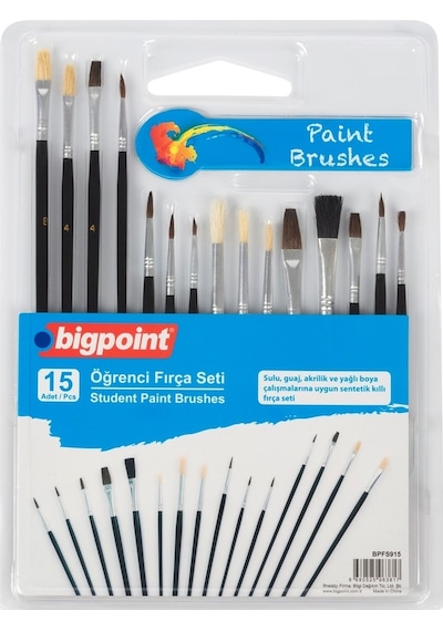 Bigpoint Öğrenci Fırça Seti 15'li Blister 5'li Kutu