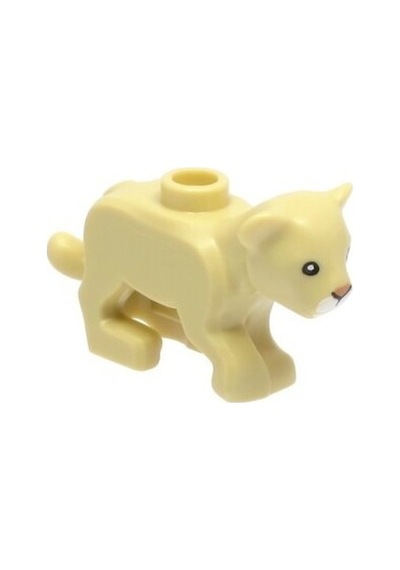 Orjinal Hayvanlar, Yavru Aslan Krem, Aslan Yavrusu, Baby Lion