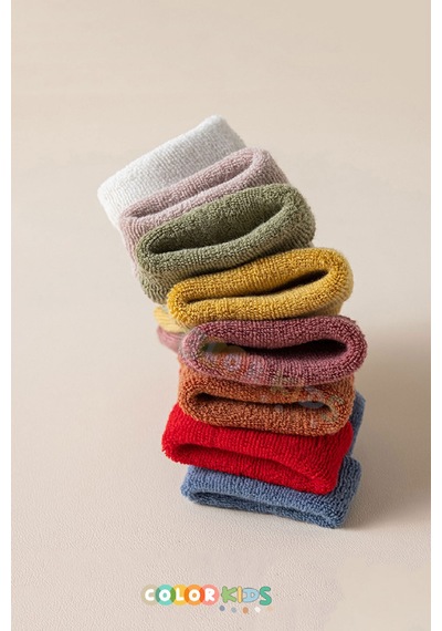 Color Socks 5'li Erkek Bebek Kışlık Havlu Çorap Isı Emici Erkek