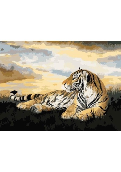 Kaplan Sayılarla Boyama Seti - Çerçeveli, 40x50cm