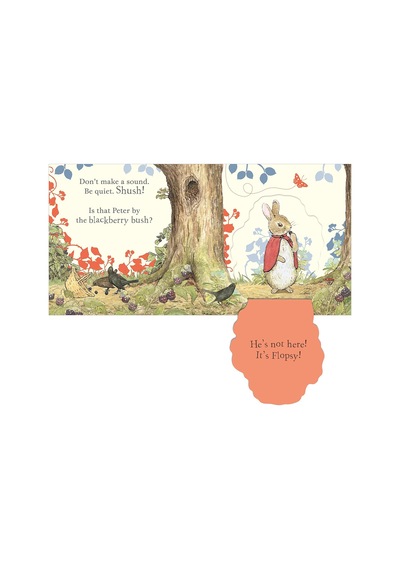Where İs Peter Rabbit : Lift The Flap Book