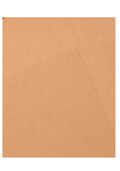 Canson Fon Kartonu Mı-teınts 50x65 160 Gr 115 Turuncu 1 Adet
