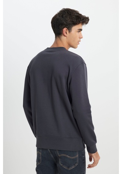 Regular Fit Normal Kesim Bisiklet Yaka İçi Polarlı Antrasit Sweatshirt Faded Black-l24216633w Regular Fit Normal Kesim Bisiklet Yaka İçi Polarlı Antrasit Sweatshirt Faded Black-l24216633w