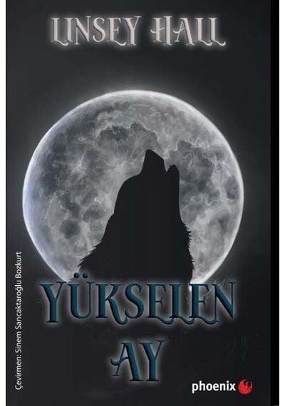 Yükselen Ay / Gölge Loncası Serisi 4 / Linsey Hall