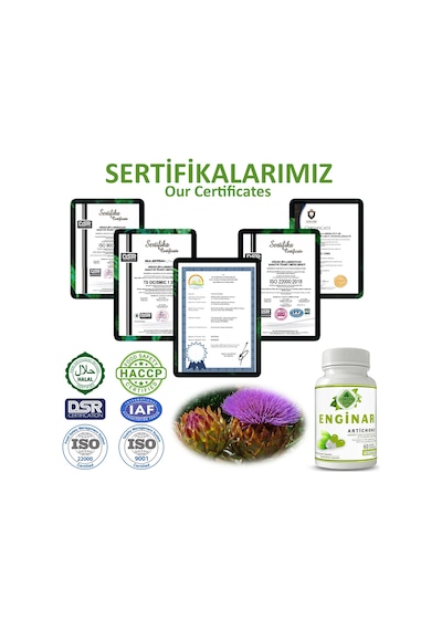 Gökçek Şifa 1000 MG Enginar (Artichoke Capsule) 60 Kapsül