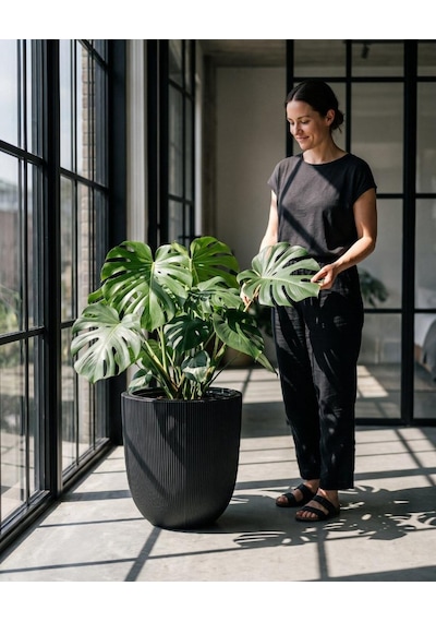 Omnipazar So-palm3 Palmiye Dekoratif Plastik Saksı İç Kovalı 30 Lt No: 3 Siyah