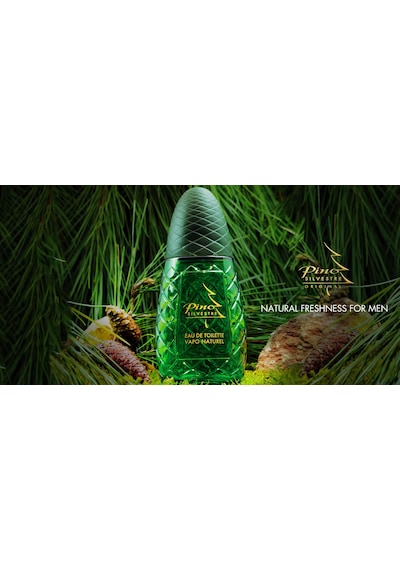 Pino Silvestre Erkek Parfüm EDT 125 ML + Deodorant 200 ML
