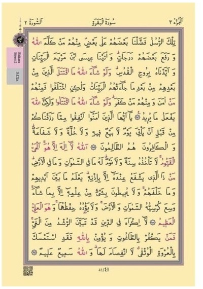 Cami Boy Kur'an-ı Kerim 2 Renkli, Pembe, Mühürlü