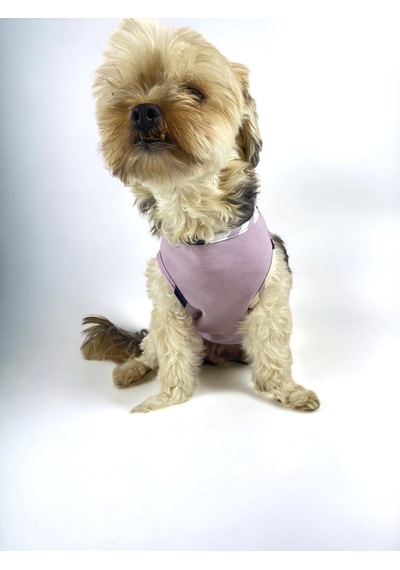 Light Purple Bb Atlet Köpek Kıyafeti Köpek Elbisesi