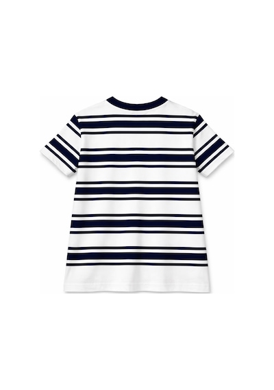 Mixray 2055 Kadın %100 Pamuk Çizgili Bisiklet Yaka T-shirt Lacivert Lacivert