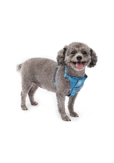 Köpek Koşum Takımı Evcil Hayvan Yürüyüş Koşumu No Pull Harness Ön Klips Fonksiyonu Antrenman İçin Dahil
