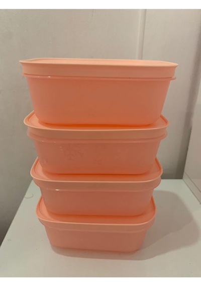 Alaska 450 Ml 4 Lü Derin Dondurucu Ve Buzdolabı Saklama Kabı Diğer