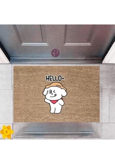 Kapı Önü Paspası Dekoratif Dijital Baskı Hello P-2369 Renkli