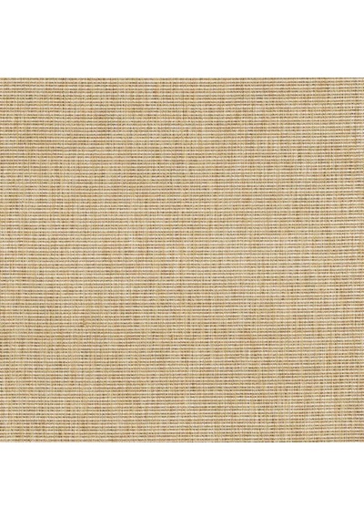 Düz Jüt Görünümlü Hasır Dokulu Modern Halı - L663bjbo Bej