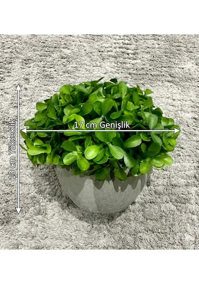 Modern Gri Saksılı Yapay Yeşil Bitki - Yaşam Alanınıza Doğal Dokunuş 13x17 Cm Yeşil