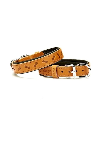 Doggie Comfort Deri Kemik Desenli Köpek Boyun Tasması Medium Camel 2.5x37-45 Cm Çok Renkli