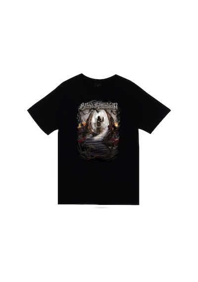 Blind Guardian Müzik, Metal Grubu Baskılı Unisex %100 Pamuk Siyah T-shirt SIYAH