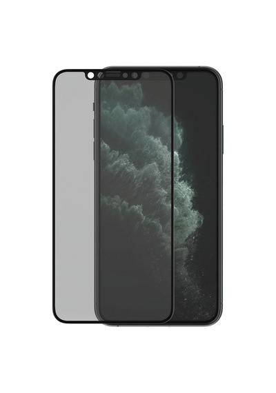 Panzerglass Apple iPhone Uyumlu Xs Max/11 Pro Max Case Friendly Privacy