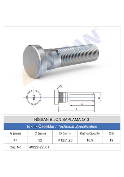 20 Adet Nissan Bijon Saplaması Q13