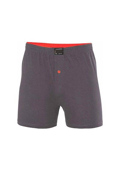 Düğmeli Pamuklu Erkek Penye Boxer Füme - 1146a Çok Renkli