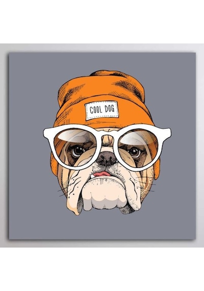 Buffalo Bandana Cooldog Glasses Siyah
