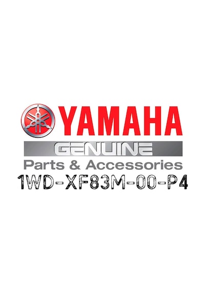 Yamaha Yzf-r25 Sağ Yan Grenaj Mat Gri 2016