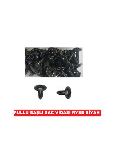 Sac Vidası Rysb Pullu Başlı 2.9x9.5mm 250 ADET
