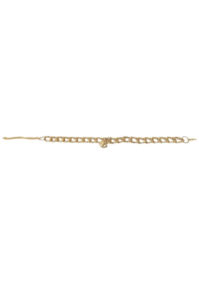 Markapet Kedi Ve Köpek Lüx Zincir Kolye 25-30 Cm Medium Gold
