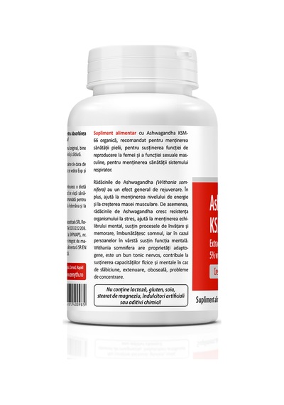 Ashwa/gandha Ksm-66 300 Mg 60 Kapsül