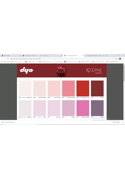 Dyo Dinamik Silikonlu Silinebilir Ipek Mat Iç Cephe Boyas 2,5 Lt