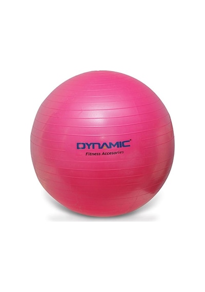 Dynamic Gymball 20 CM