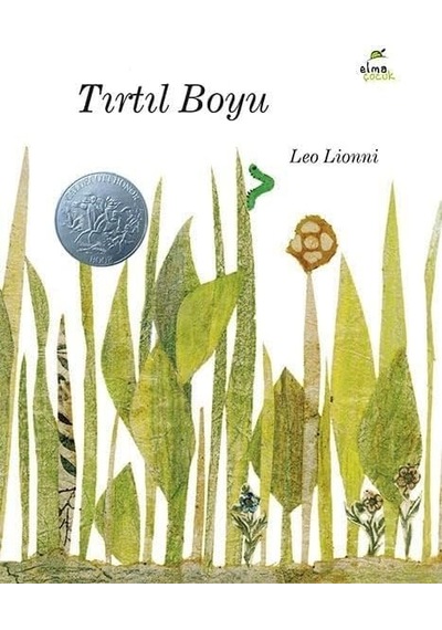 Tırtıl Boyu - 57858324546996399240225