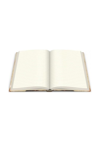 Deffter Art Of World Da Vinci Mona Lisa 96 Sayfa Çizgili Sert Kapak Defter