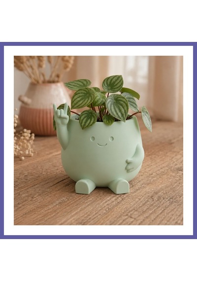 Bezos 3d Baskı Smiley Face Planter - Gülümseyen Karakterli Saksı-mint Nıda