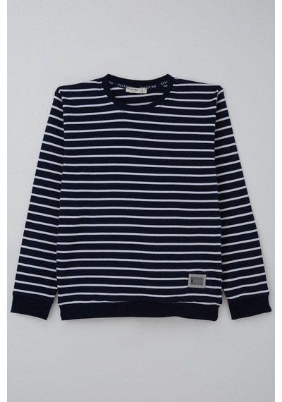 Breeze Erkek Çocuk Sweatshirt Arma Detaylı Çizgili 4-8 Yaş, Lacivert Lacivert