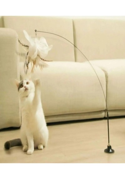 Ayrex Tineke Yeni Vantuzlu Kedi Oyun Oltası Tüy Toplu Kedi Eğlence Oyuncağı