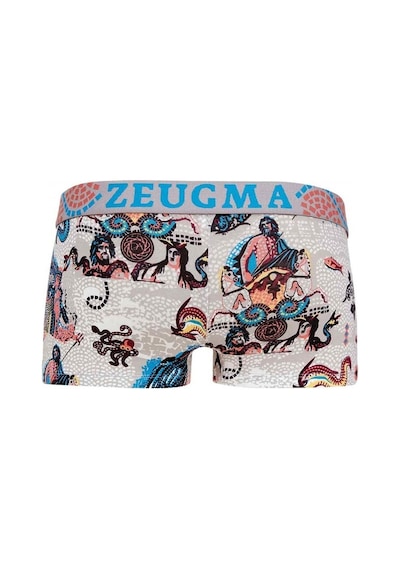Doreanse Erkek Modal Baskılı Torbalı Renkli Mini Paça Boxer 1701 (543079469) Doreanse Erkek Modal Baskılı Torbalı Renkli Mini Paça Boxer 1701 (543079469)