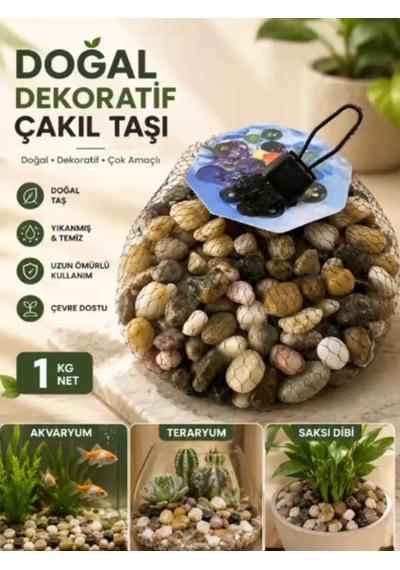 Mucit Home Kahve Doğal Taş Fanus Taşı Akvaryum Balık Taşı