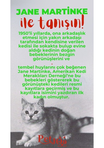 Petjoo 5.Jane Martinke Kırmızı-Yeşil Qr'lı Kedi Künyesi