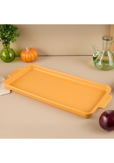 Aryıldız Elissa Tepsi Sarı 41 Cm Çok Renkli