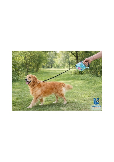 Pup Style Desenli Köpek Tasması Ayarlanabilir Dayanıklı Gezdirme Tasması