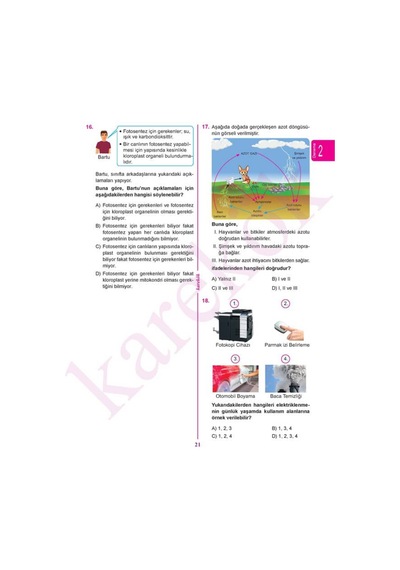 Karekök Müfredat 8.sınıf Lgs Fen Bilimleri Denemeleri