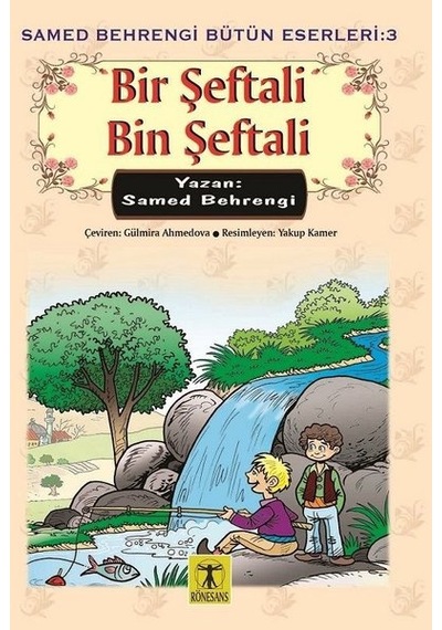 Bir Şeftali Bin Şeftali N11.46975